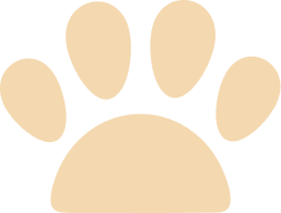 Orange Sunpaw logo icon